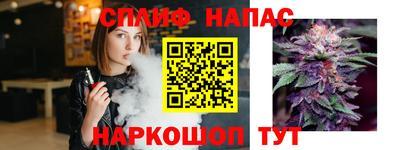 сатива Лесосибирск