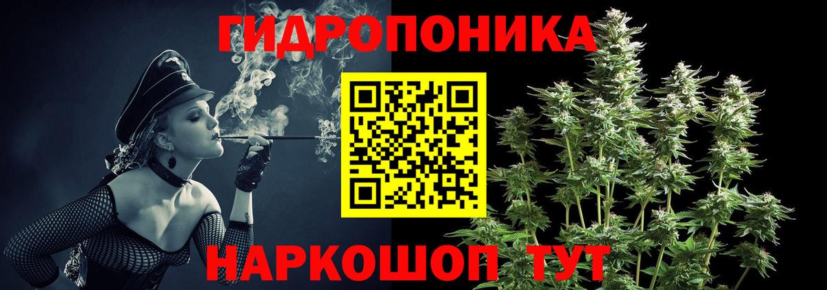 Шишки марихуана AK-47  Вход с VPN  Волгодонск  Каннабис AK-47  Марихуана VHQ 
